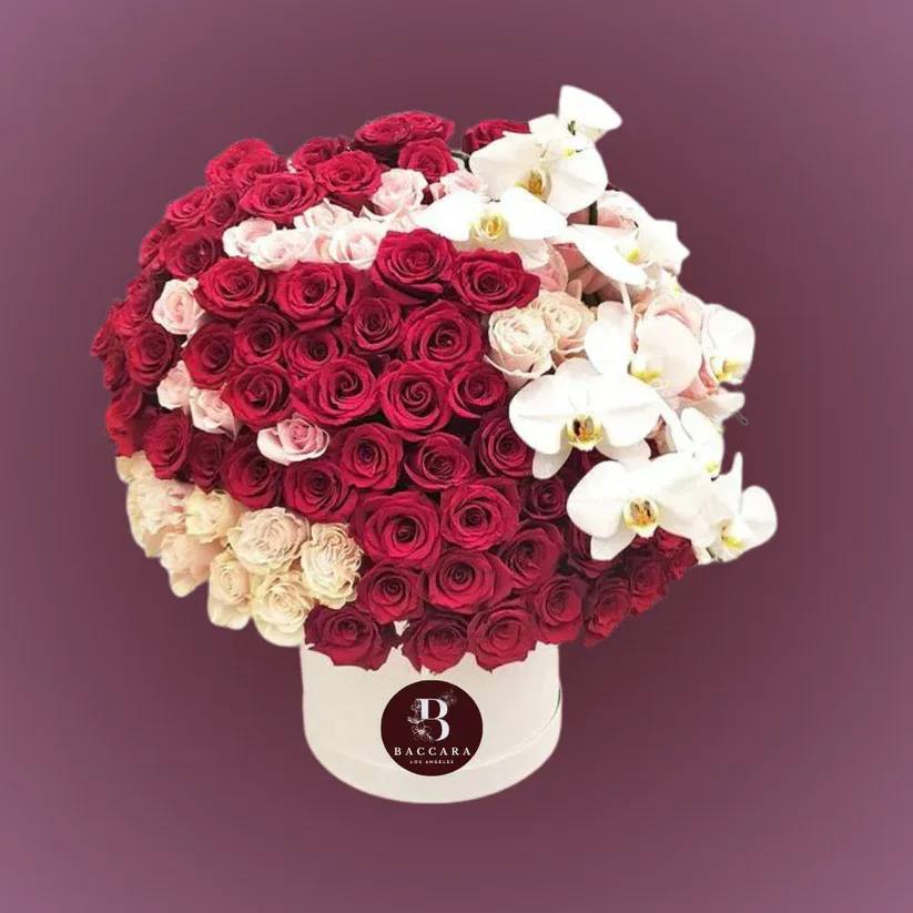 Crimson Elegance: Red Roses & Orchid Box Crimson Elegance: Red Roses & Orchid Box - Immerse yourself in the timeless allure of our Crimson Elegance Flower Box, a harmonious blend of passion and sophistication. This exquisite arrangement features lush red roses paired with delicate orchids, symbolizing love and grace. Perfect for expressing heartfelt emotions, this luxurious box is designed to leave a lasting impression. Disclaimer: Product images are for reference only. Actual flower shades, box colors, and arrangement styles may vary slightly based on seasonal availability and stock. We always strive to match the overall style, color palette, and quality shown in the photos, ensuring every arrangement is fresh, beautiful, and thoughtfully curated.