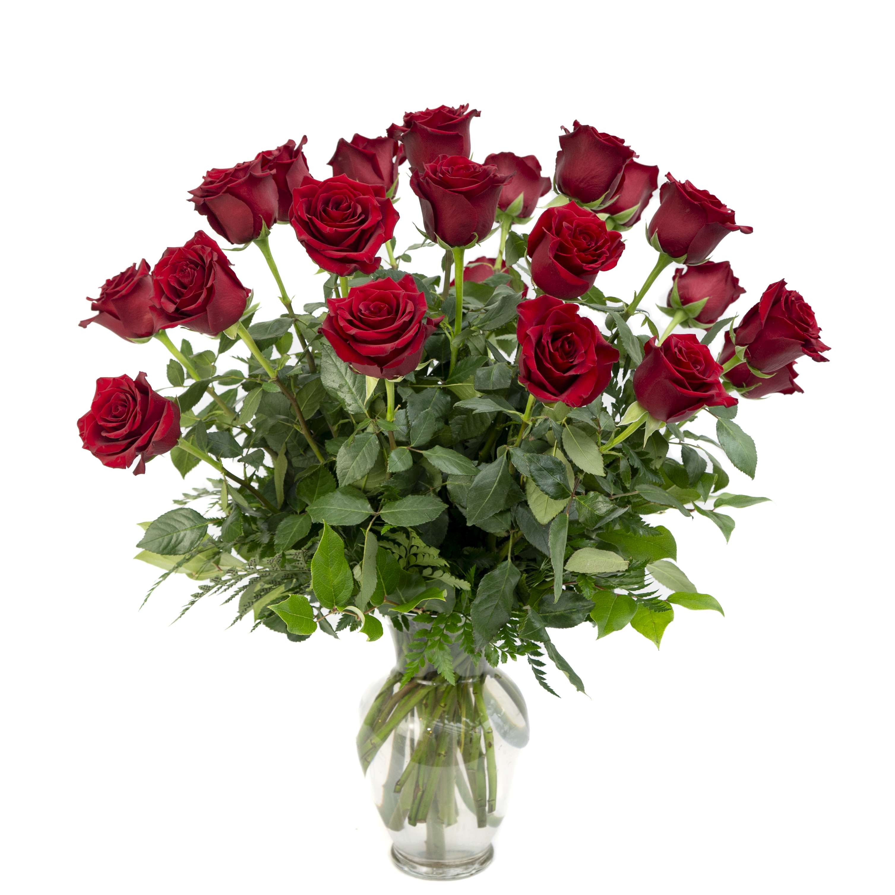 2 Dozen Red Premium Long Stem Roses - Two dozen of our long-stemmed premium roses arranged in a vase with greenery. These are not your grocery store roses, they are fresh from the farm and long lasting.  