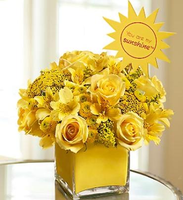 You Are My Sunshine You Are My Sunshine - For the one who makes you happy when skies are gray. Let them know with our hand-crafted arrangement of bright yellow roses, alstroemeria, button poms, yarrow and more, designed in a trendy cube vase. (Vase/Basket style may vary) Item # 90947