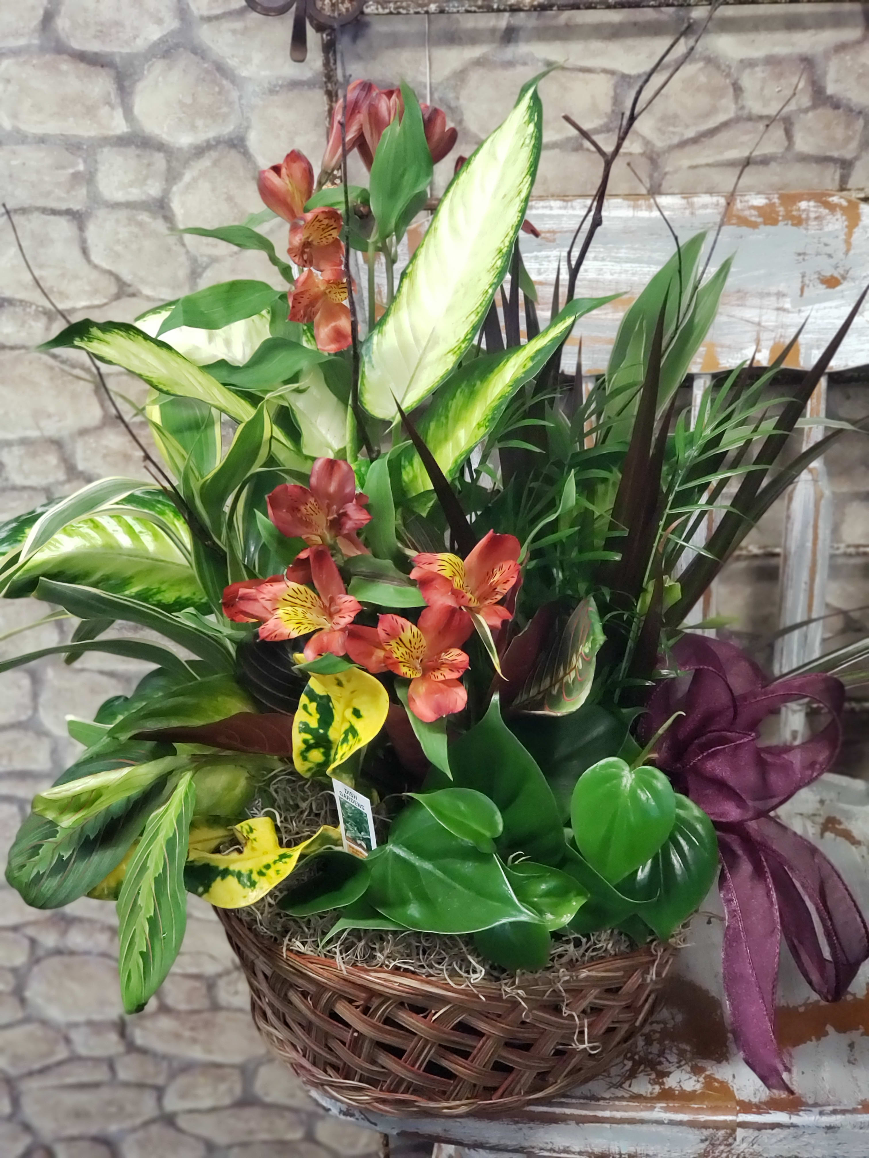 Indoor Garden Planter  - Variety of sizes, styles, containers based on custom inventory on hand. NOT always set in wicker..based on inventory. Each planter is leaf shined with moss &amp; florist bow. We will select a planter that fits the occasion &amp; price choice. At times, fresh cut &amp; water tubed flowers are added to brighten for color or offset the full value needed to fill your order to the penny. 