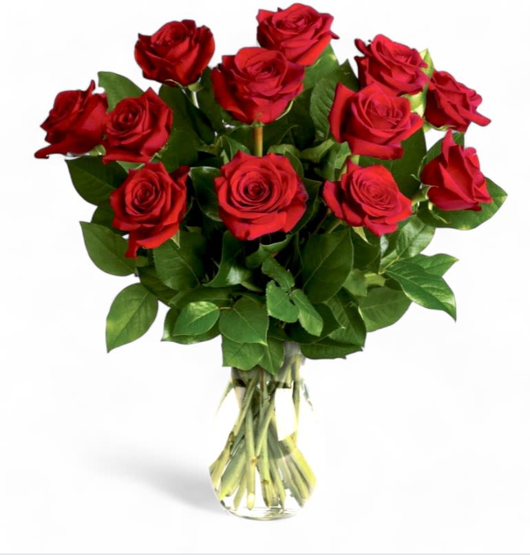 Standard One Dozen Roses in a Vase - Your devotion, delivered. Surprise your special one with this gorgeous arrangement of one dozen long-stemmed red roses. It's a timeless testimony of your love she won't soon forget. One dozen roses and greens are in a vase with a ribbon.