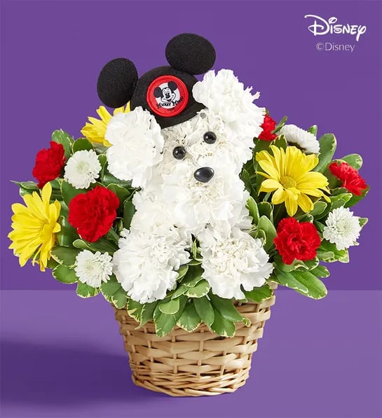 Disney Mickey Mouse a-DOG-able 24 -  Our signature flower pup is blooming from ear to ear! Part of our new Disney collection, it’s crafted from white carnations, with red, yellow and white flowers all around to match the colors of Mickey Mouse’s iconic pants. Complete with a genuine replication of the original 1950’s Mouseketeer hat, it’s a gift is full of charm and nostalgia for every Disney fan.