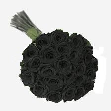 24 Black Roses arranged Wrap on paper - 24 Black Roses wrapped arranged on tissue paper or cellophane. *** Need 48 Hours in advance to order.***