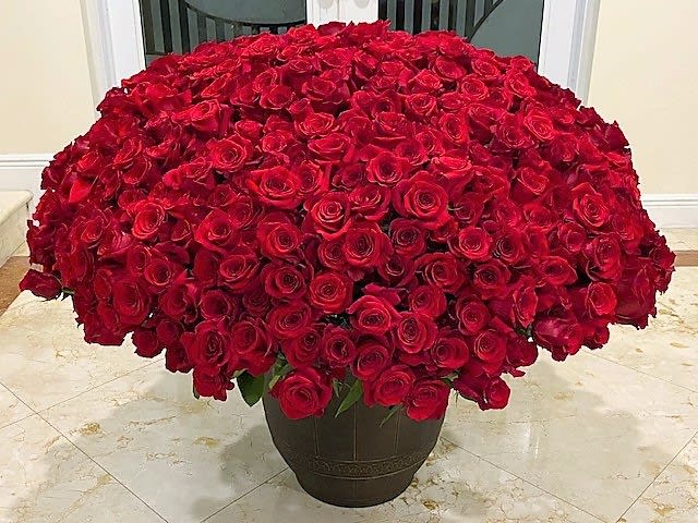 500 Roses Premium Long Stem arranged round in vase - 500 Premium Long Stem Red Roses arranged in vase