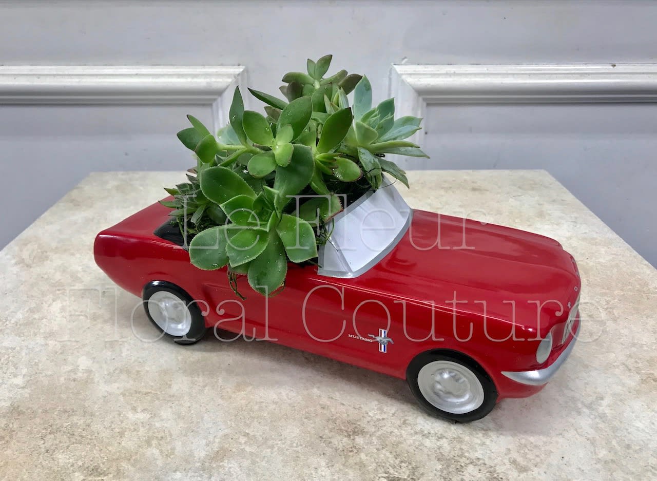 '65 Ford Mustang - In the perfect shade of poppy red, this classic '65 Ford Mustang presents an array of living succulent plants. What a beautiful, fun-filled display for the perfect muscle car collector, for the office or for the home. Delivered in a '65 Ford Mustang collectible keepsake.  *We will choose the best assortment of succulents to compliment this container.