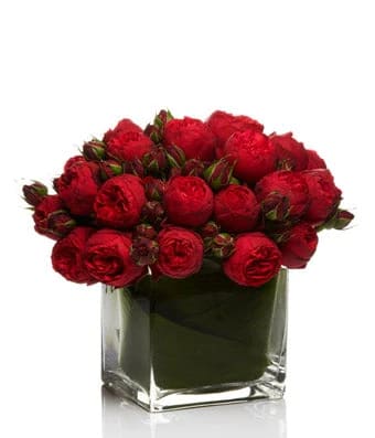 Cube Of Love - Cube of Love - roses