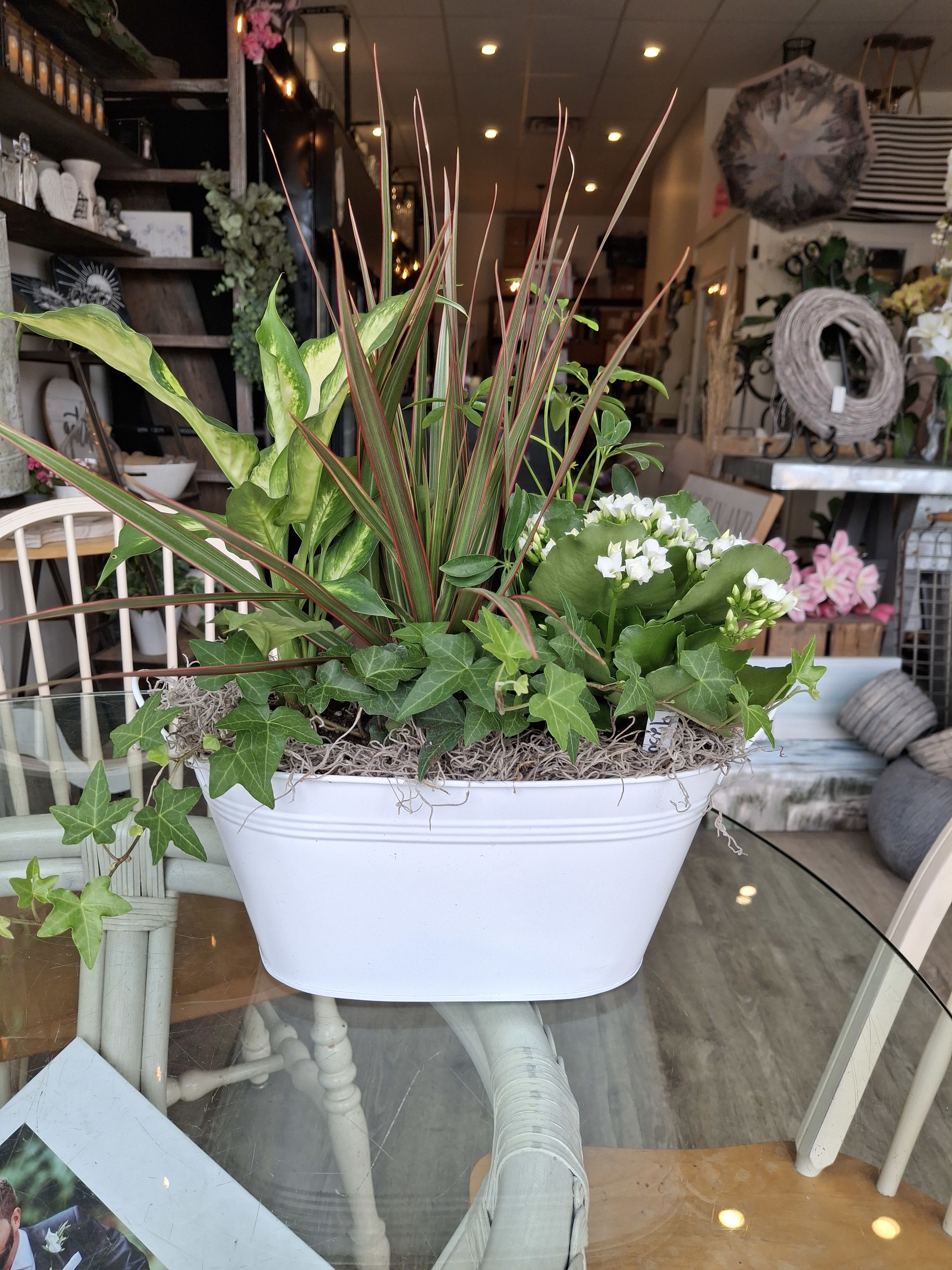 Planters - Beautiful bowl with various tropical plants for any occasion!