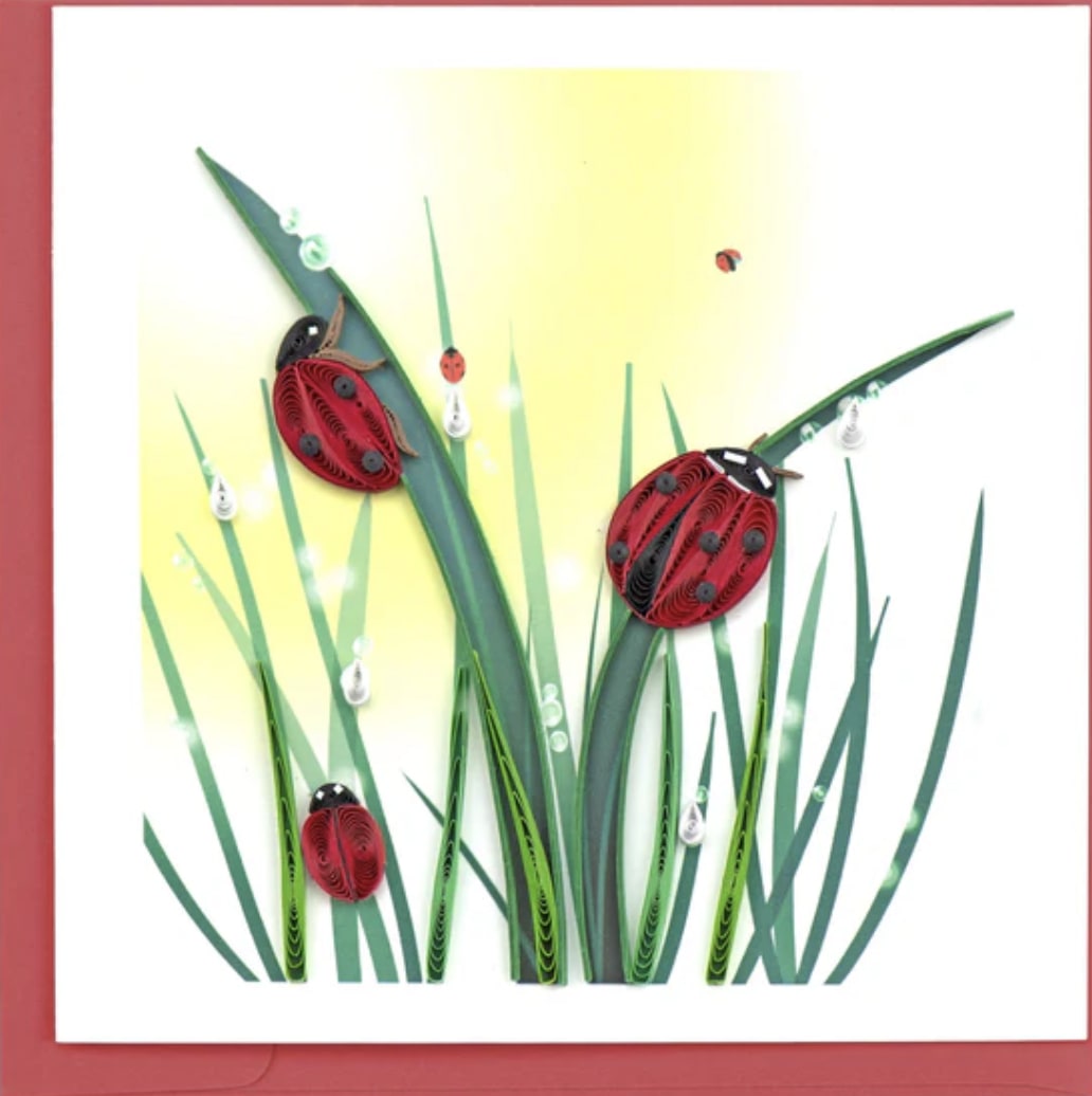 Ladybug Greeting Card - Mark bright and happy occasions with our Quilled Ladybug card! This happy, handcrafted design shows several dewy grass blades with the insect known as a symbol for good luck climbing up them. Outside Copy: Blank Inside Copy: Blank plus additional blank insert to write your own message on Size: 6 in. x 6 in. Envelope Color: Red 