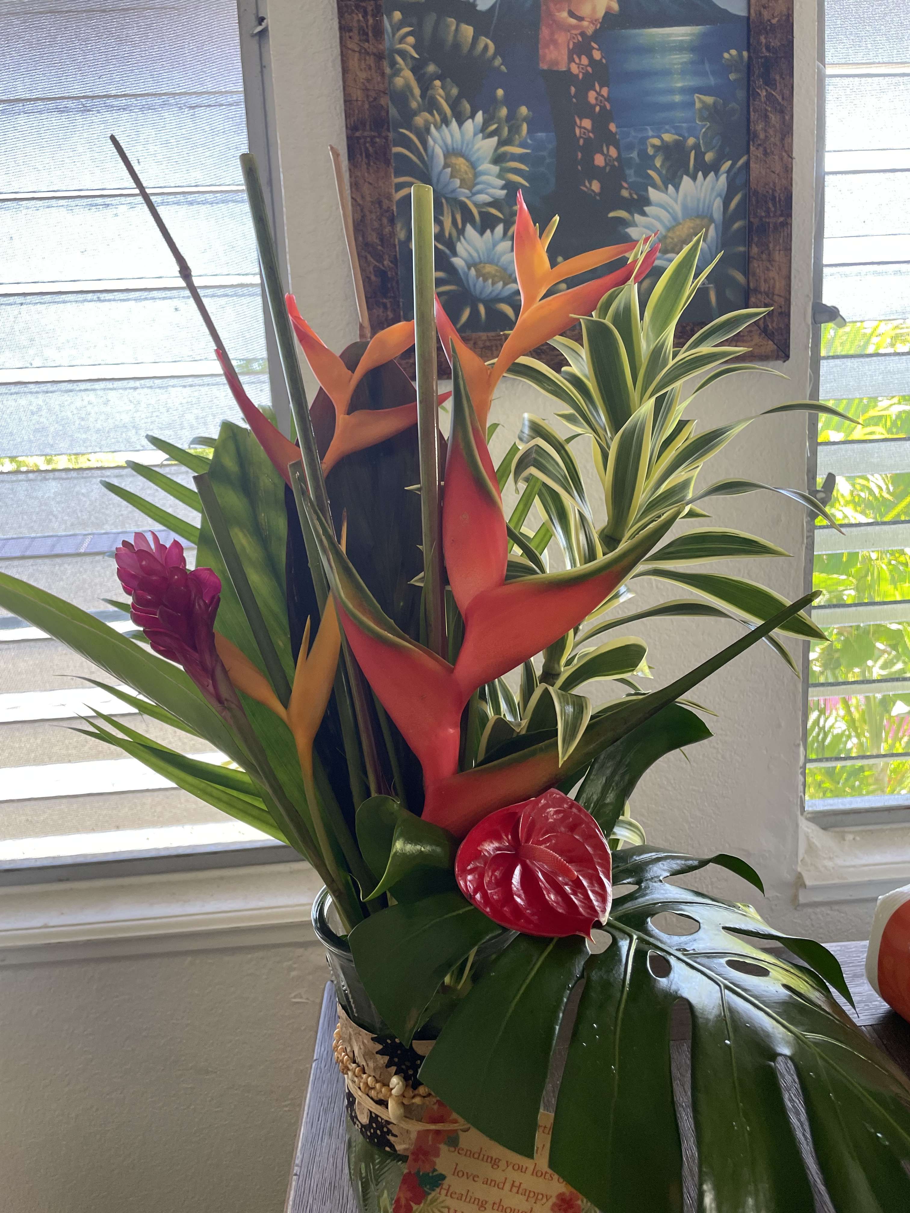 A Tropical Collection: Oasis  - Heliconia and Ginger mixed with lush green foliage .  Beautiful choice available  for nationwide shipping Aunties Pick 