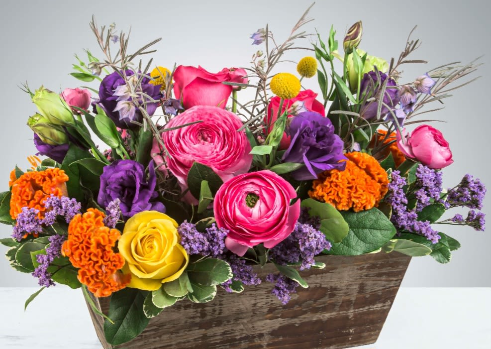 Groovy by BloomNation™ Groovy by BloomNation™ - Keep things fun with this jewel toned flower box! Ranunculus, roses, and lisianthus in a wooden garden box give this arrangement its bright colors and textures to create a beautiful centerpiece or gift.