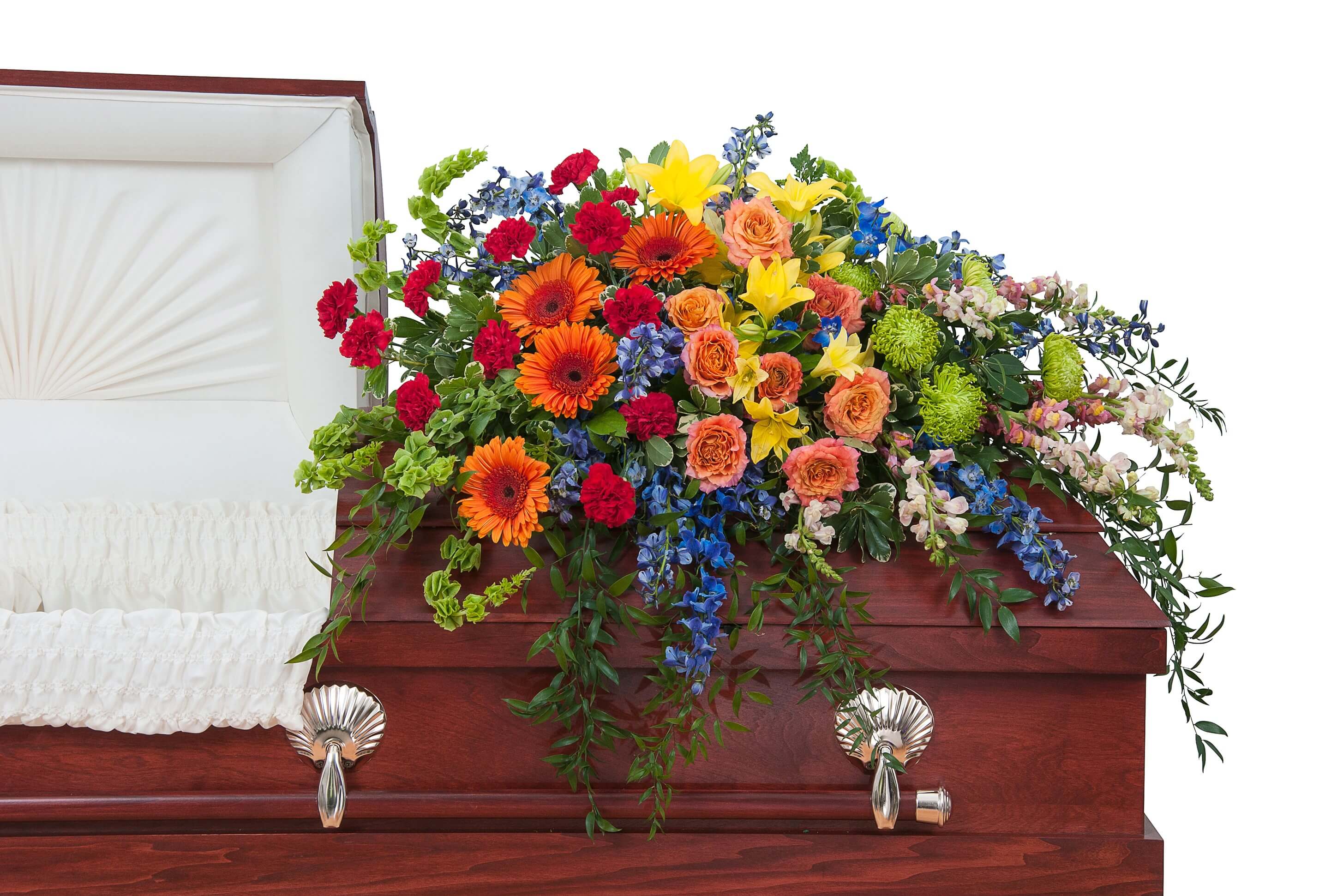 Treasured Celebration Casket Spray Treasured Celebration Casket Spray - A combination of bright color blooms to celebrate the life of your loved one.