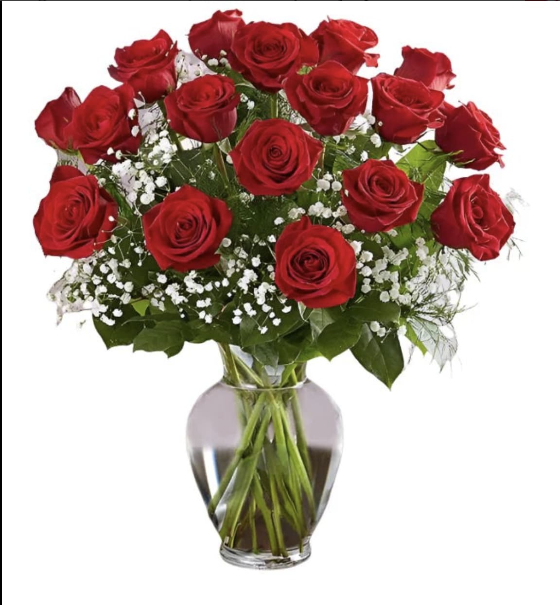 Dozen Red Roses in Cape May, NJ | CapeMayLavender