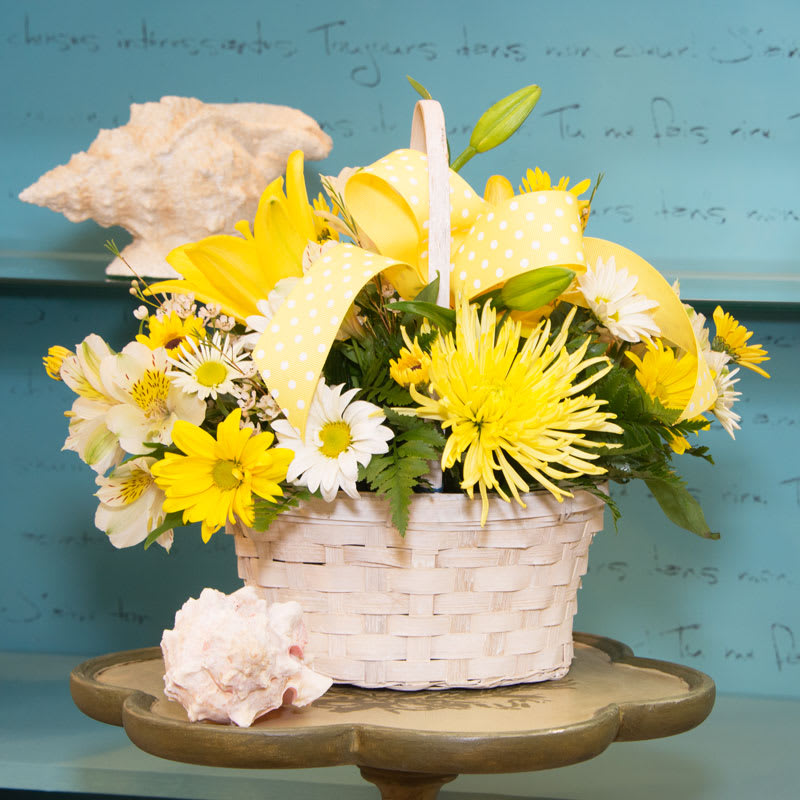 Sunny Wishes Sunny Wishes - Like a sunny day bright and cheerful
