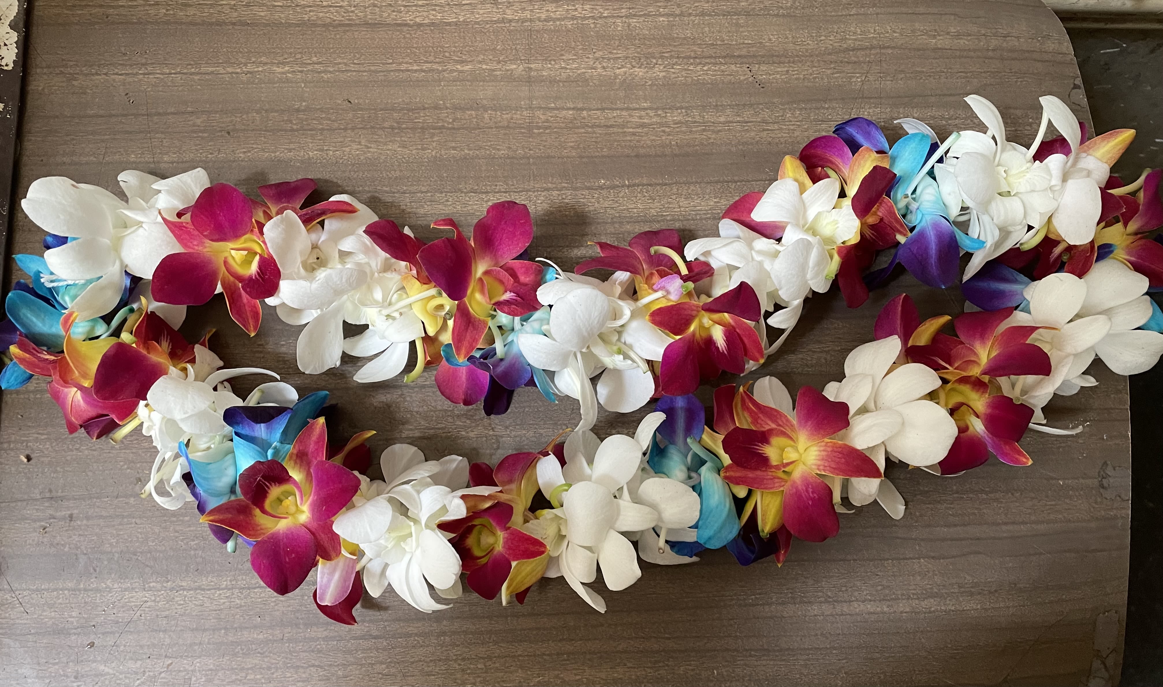 Leis #34 Leis #34 - Our beautiful leis are great for graduations, birthdays, or any celebration! WARNING: DYED ORCHIDS, MIGHT STAIN CLOTHES.
