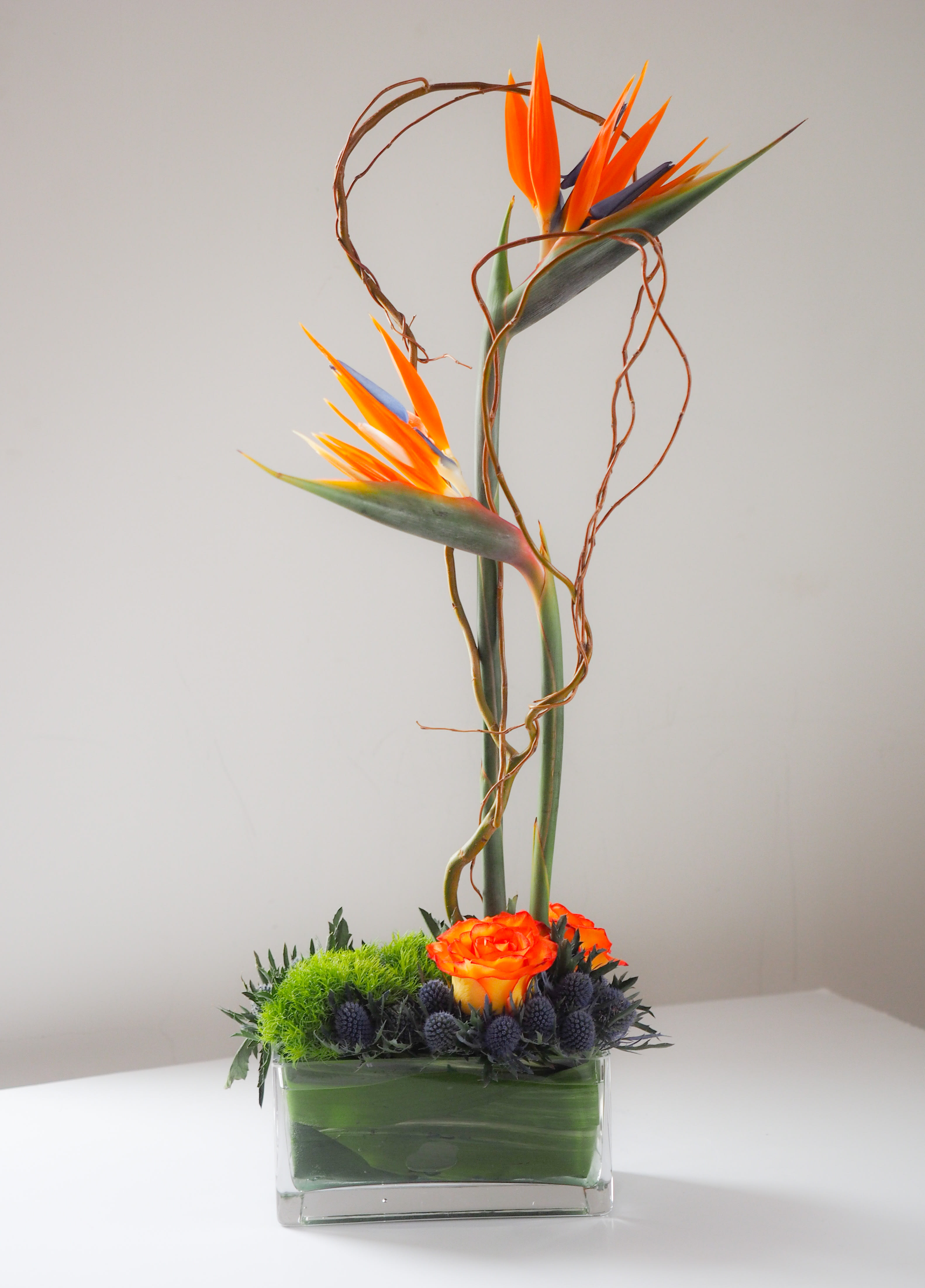 Dana - This striking arrangement features tropical bird of paradise, bi-color orange roses, green trick dianthus, thistle, and curly willow in a leaf-lined glass vase. This eye-catching arrangement is sure to leave a lasting impression.   