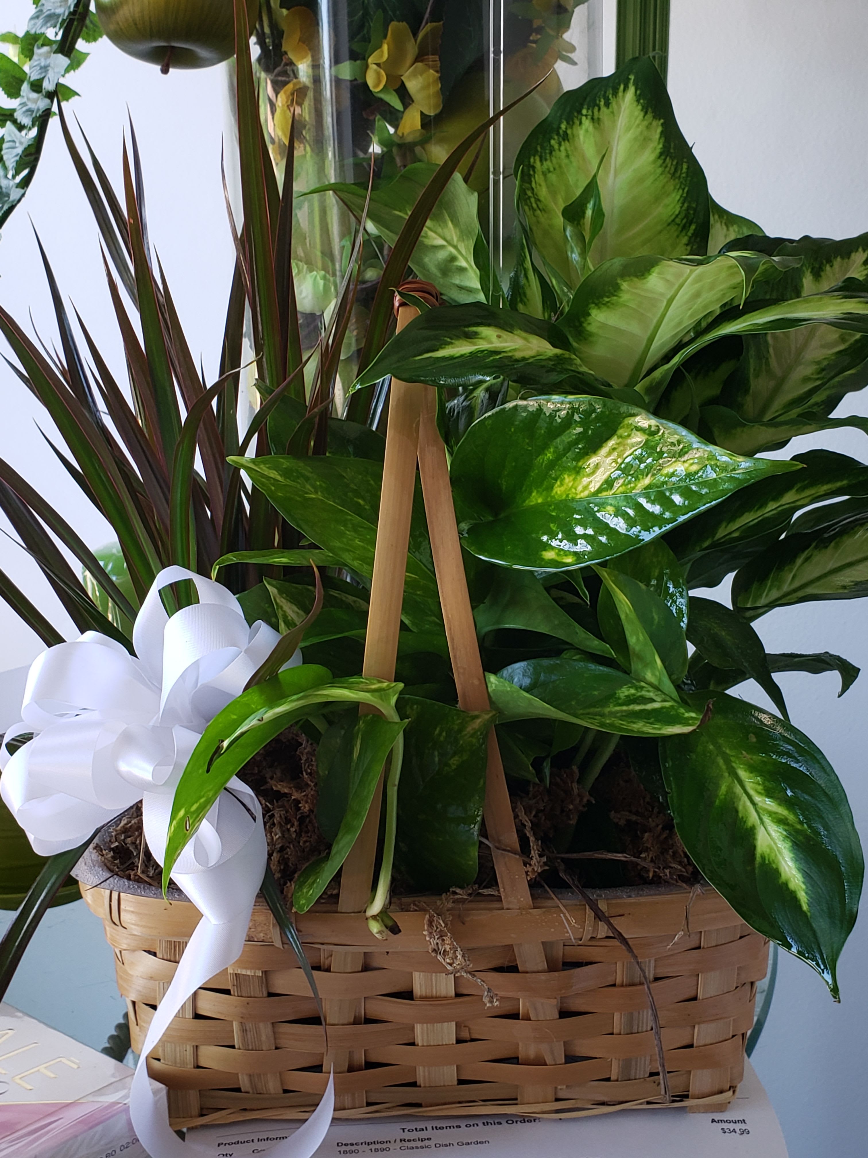 my beautiful garden - different plants