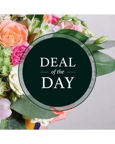 Deal of the Day! Deal of the Day! - Let our florists design and create a beautiful arrangement for your loved one! This option really gives our florists the creativity to come up with something special. **PLEASE NOTE: Picture is an example-your arrangement will differ depending on season, colors, and flowers available**