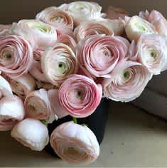 In Love with Ranunculus *** Low in Stock!! *** - Arrangement mainly with Ranunculus. I've never met anybody who didn't fall in love with ranunculus.  If you don't know what to get, get this arrangement. I guarantee that she/he will talk about this arrangements for a long time.   For Valentine's Day, we only use Ranunculus Cloni Lady from Italy, which is very light pastel pink. (NO WHITE)