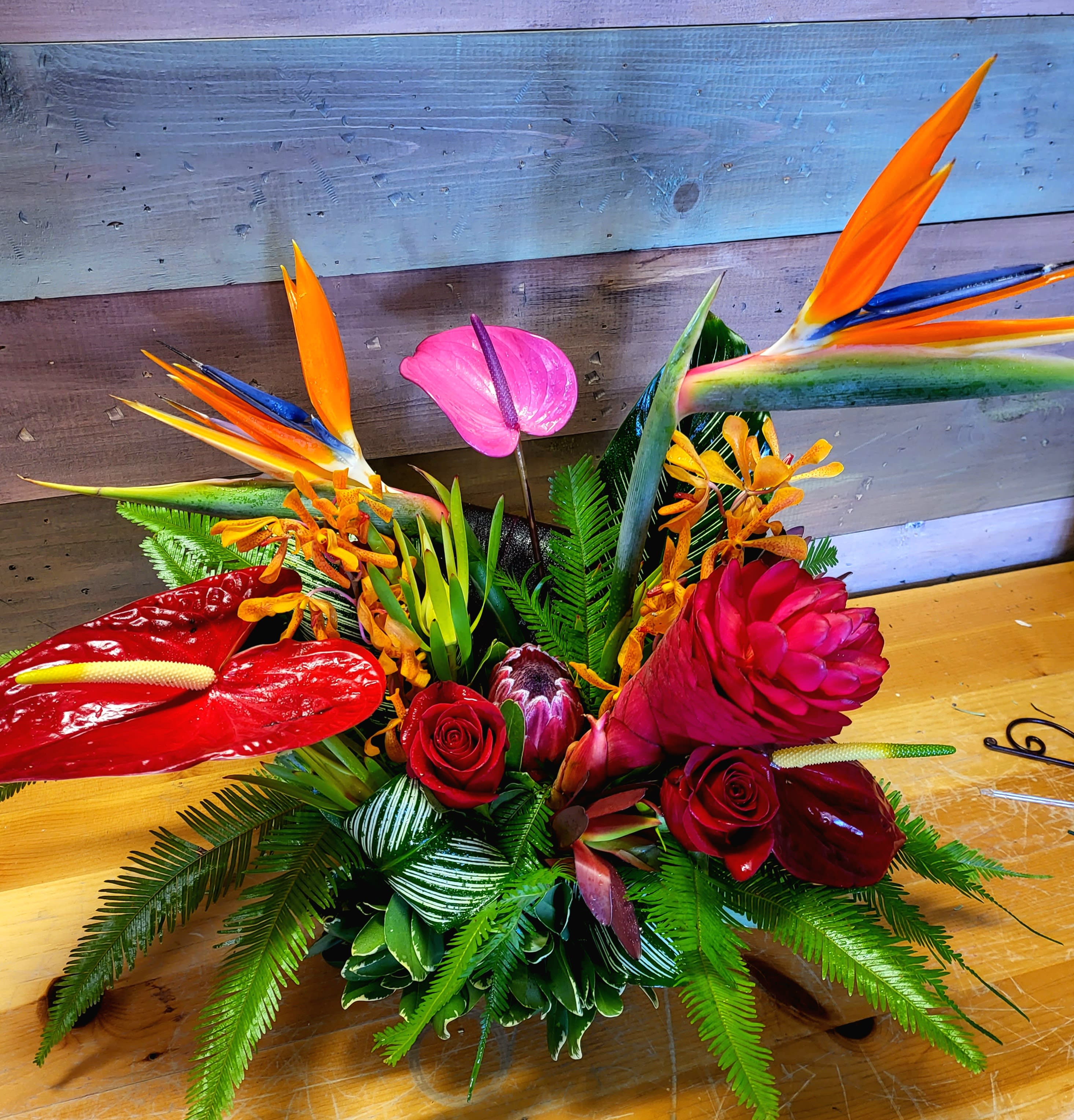  Tropical love - MUST HAVE 72 HOURS FOR THIS ORDER! PLEASE MAKE SURE THAT THERE IS 72 HOURS BEFORE IT IS NEEDED. WE FLY IN OUR TROPICALS IN SPEICAL FOR THIS ARRANGEMENT.......A whimsical mix of tropical flowers. Depending what is available to us here in this mountain state offering could include. Anthurium, Aranda, Bird of Paradise, Ginger, Mokara Orchids, Protea. Aspidistra, Calathea Leaves.