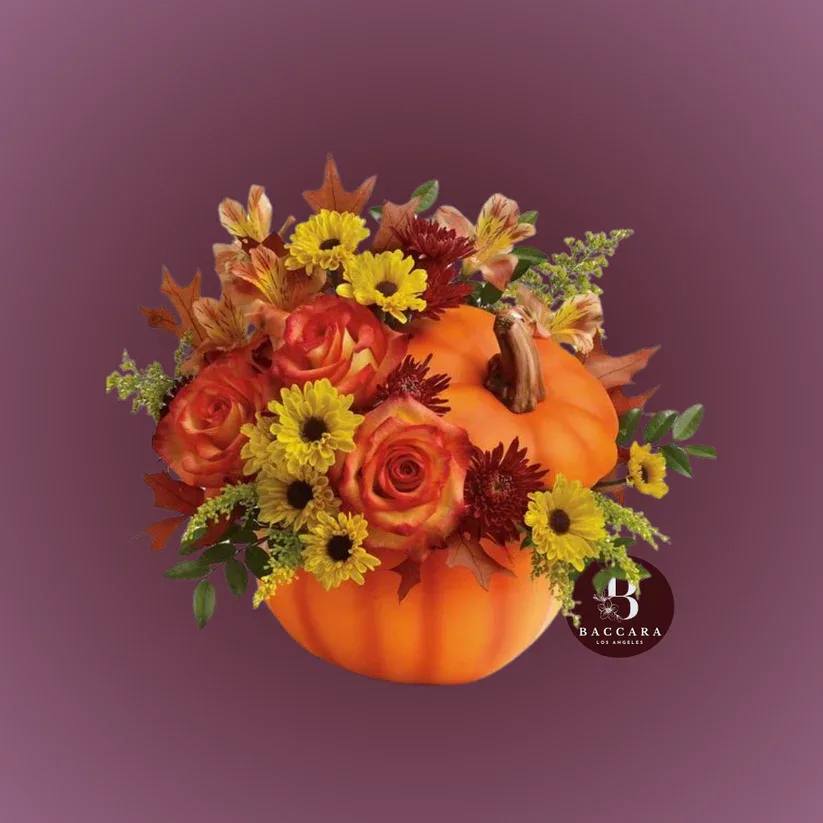 Pumpkin Patch Perfection: Fall Floral Arrangement Pumpkin Patch Perfection: Fall Floral Arrangement - Embrace the cozy charm of autumn with our Pumpkin Patch Perfection floral arrangement! Nestled in a charming pumpkin, this seasonal centerpiece features a delightful mix of warm-toned blooms—think sunflowers, deep orange marigolds, and rustic greenery. Perfect for decorating your home or as a festive gift, this arrangement captures the essence of fall vibes and brings a touch of whimsy to any setting. Celebrate the beauty of the harvest season and create a warm, inviting atmosphere with this unique fall floral display! Disclaimer: Product images are for reference only. Actual flower shades, box colors, and arrangement styles may vary slightly based on seasonal availability and stock. We always strive to match the overall style, color palette, and quality shown in the photos, ensuring every arrangement is fresh, beautiful, and thoughtfully curated.