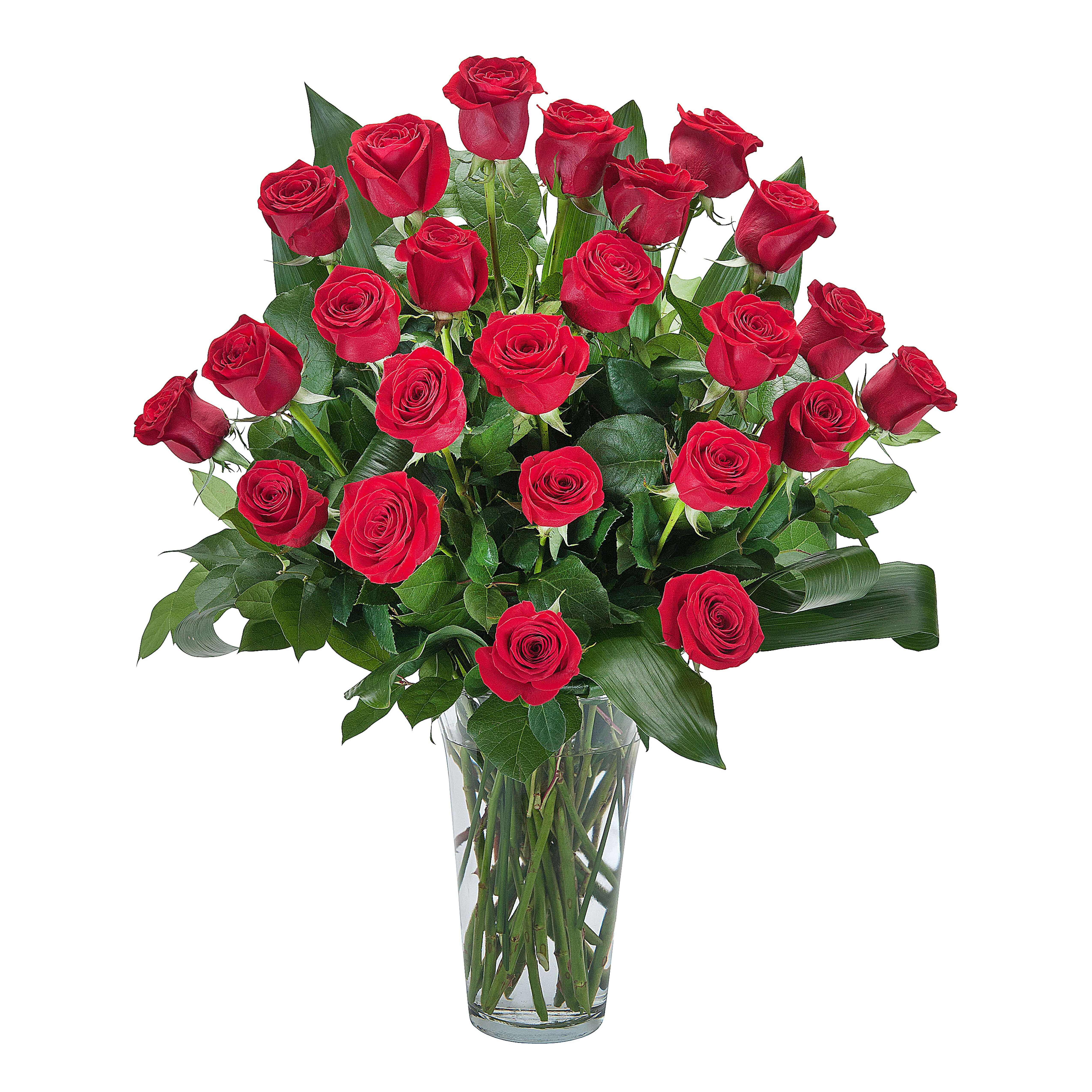 Grande Roses Grande Roses - Two dozen premium roses designed with specialty foliage in a clear vase.