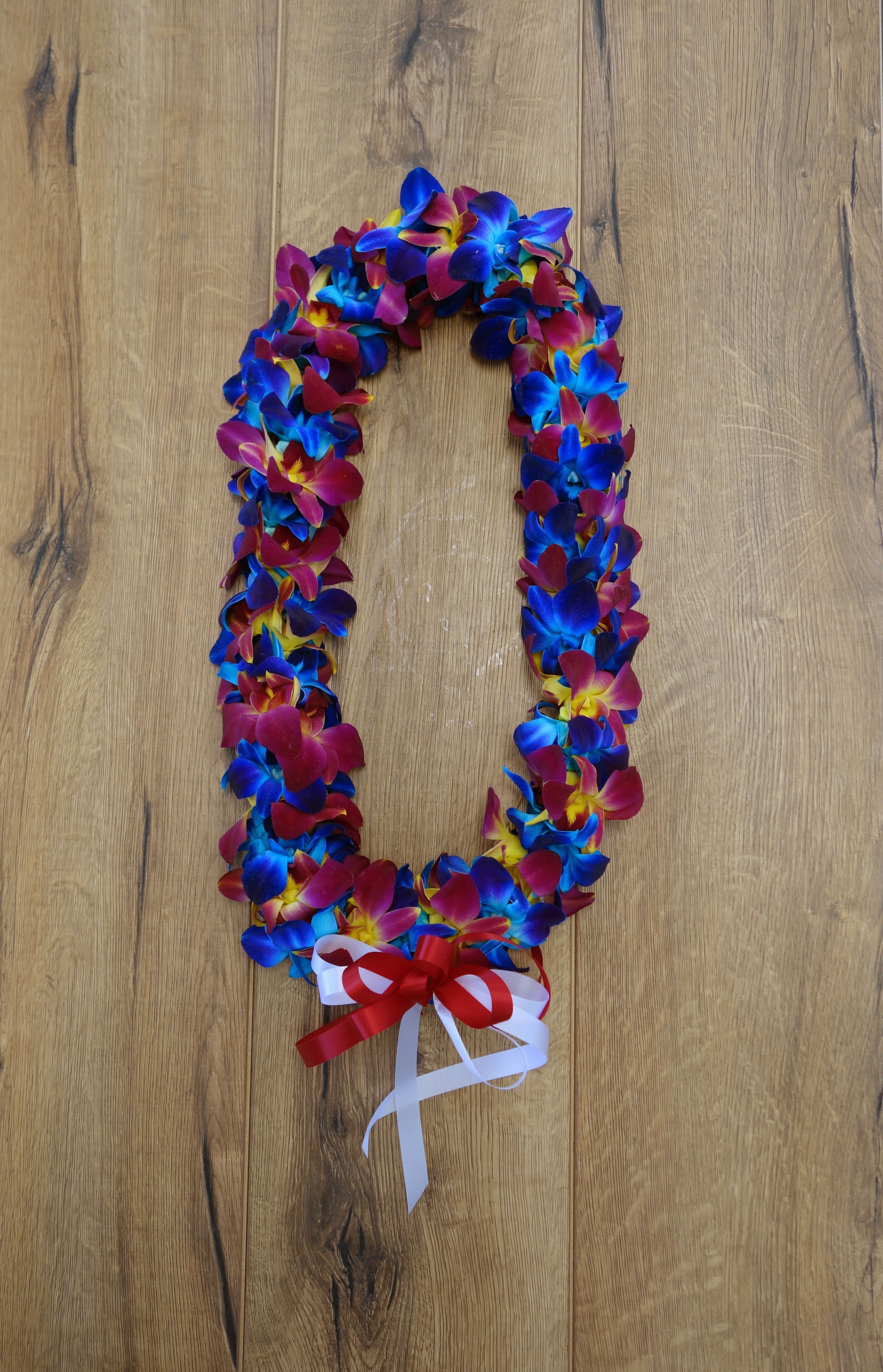 GL#09 Double Leis - Blue and Sunset Orchids - Beautiful Variegated blue and sunset tinted Dendrobium Orchids for graduation. Ask us to make it special by adding ribbon to match with your school's color. The item is a special order, please order 7 days in advance. Call us if you need it for same week.