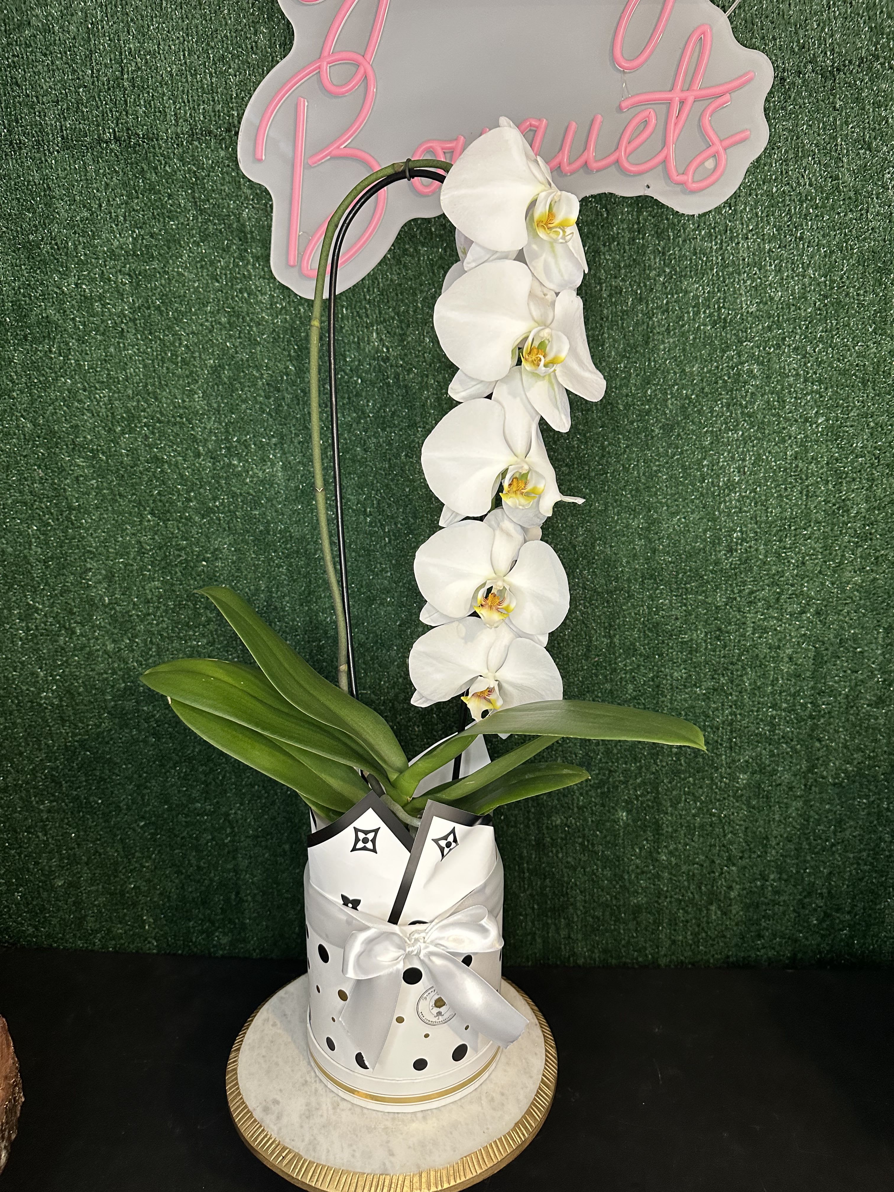 White Orchid White Orchid - Substitution might apply
