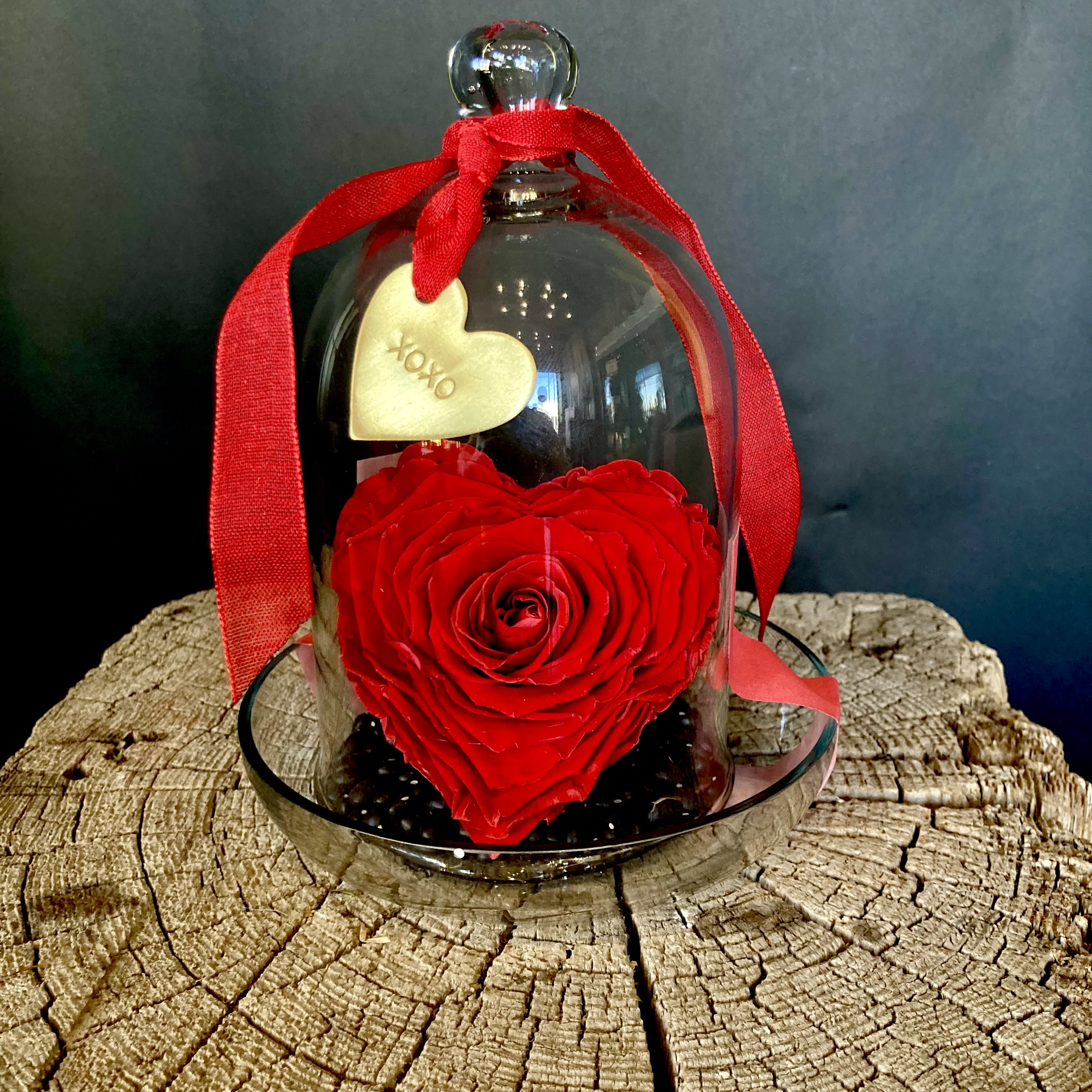 RK-4762　everlasting love Everlasting Love in Goodland, KS | Fork & Hay Flower Company