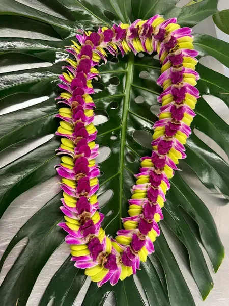 Ulupuni Lei - The exquisite and exotic purple and green orchid Ulupuni  lei is a visual delight for those who enjoy the classic flower with a unique twist. Making it a wonderful gift for the fanciest of occasions.