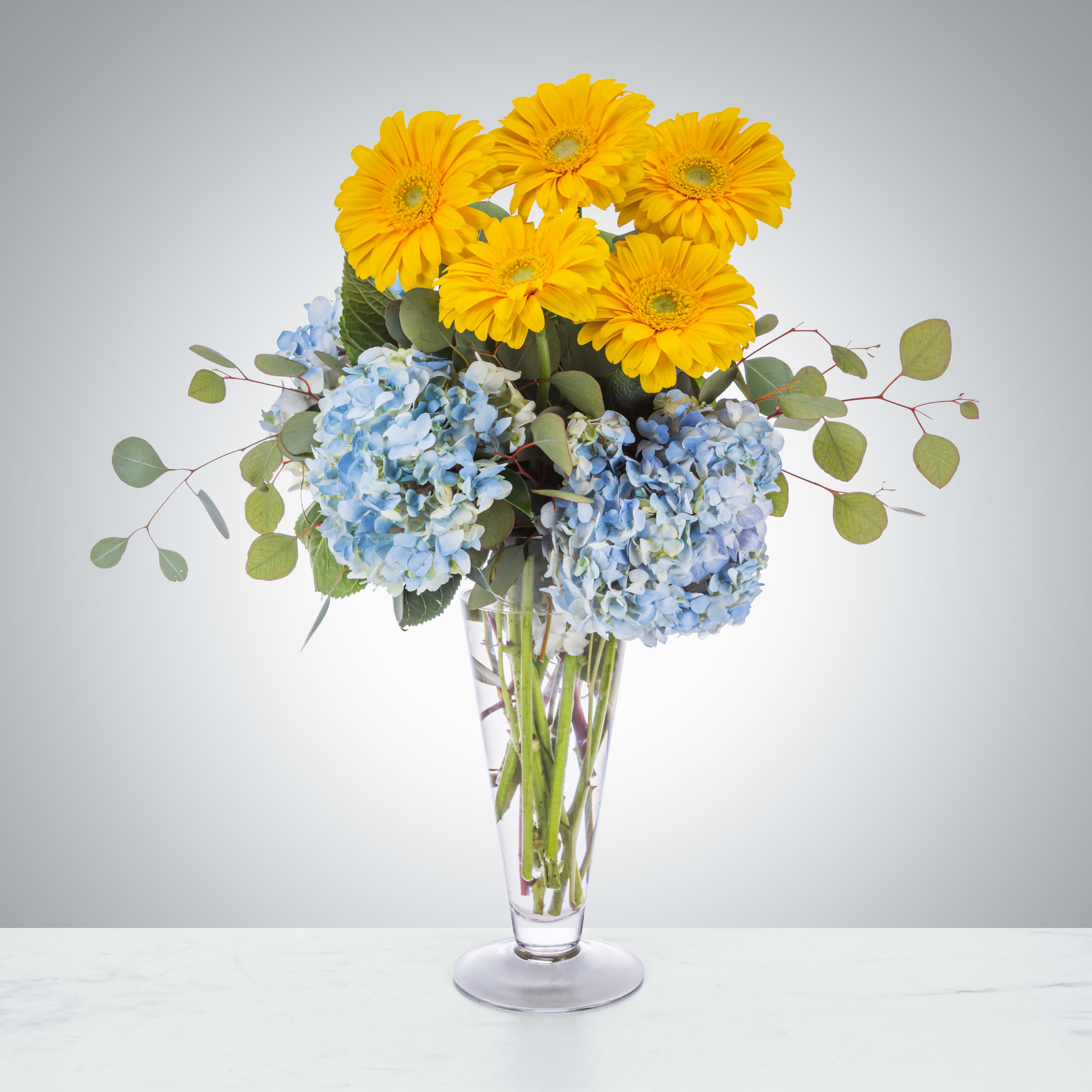 Summer Sundae by BloomNation™ Summer Sundae by BloomNation™ - What could be better than a sundae on a hot day? Recapture that joy by sending this daisy, hydrangea, and eucalyptus arrangement. Approximate Dimensions: 16"D x 19"H