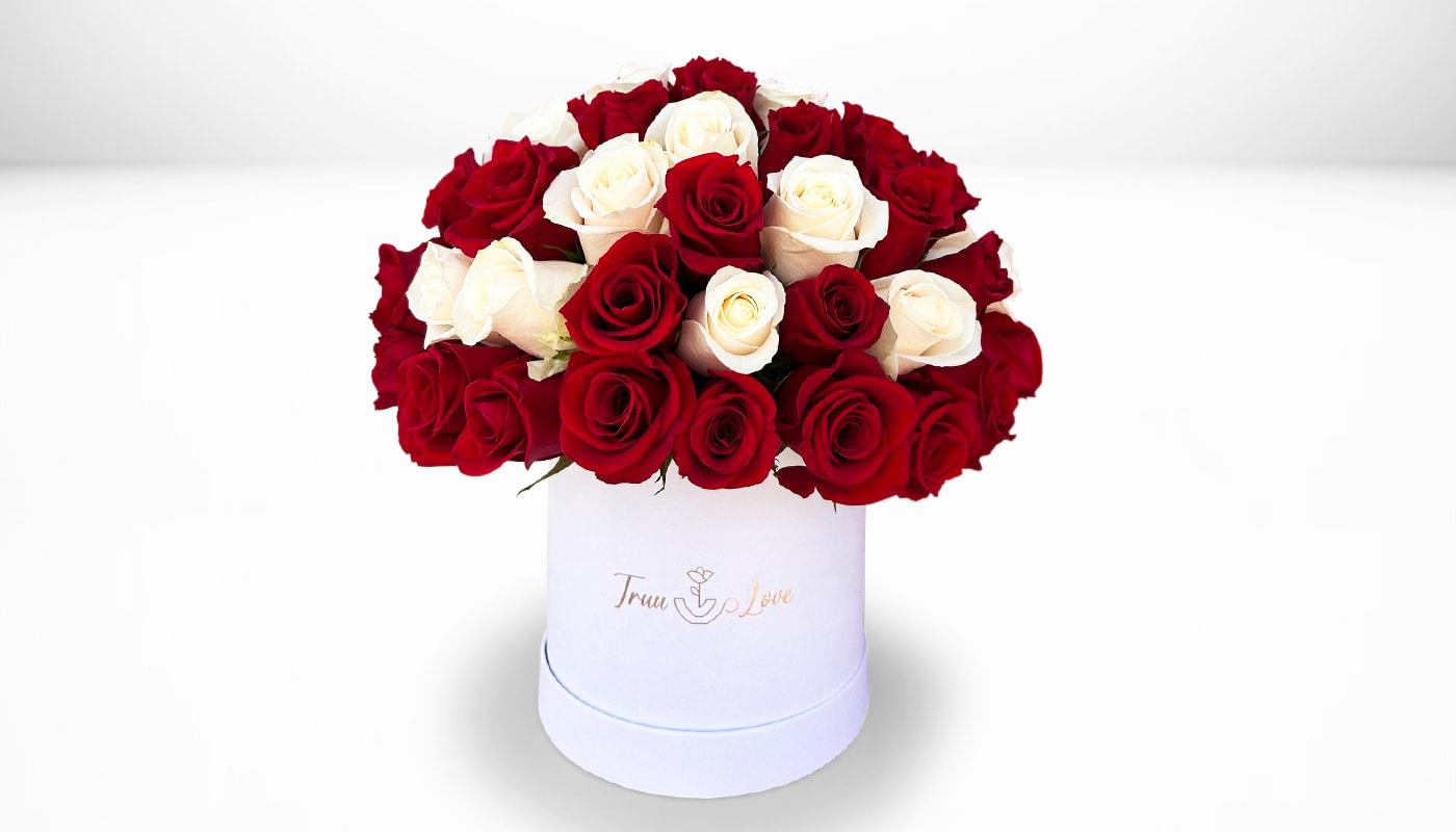 Elegant Red &amp; White Roses  - 50-60 Red &amp; white Roses 