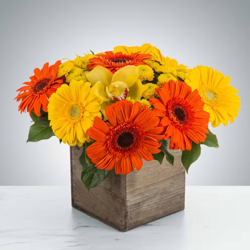 Storybook by BloomNation™ Storybook by BloomNation™ - Everybody loves daisies! Send this cheerful wooden box featuring orange and yellow gerbera daisies to your gran and gramps for Grandparents Day or your employee on Admin Appreciation day. Approximate Dimensions: 13"D x 10"H