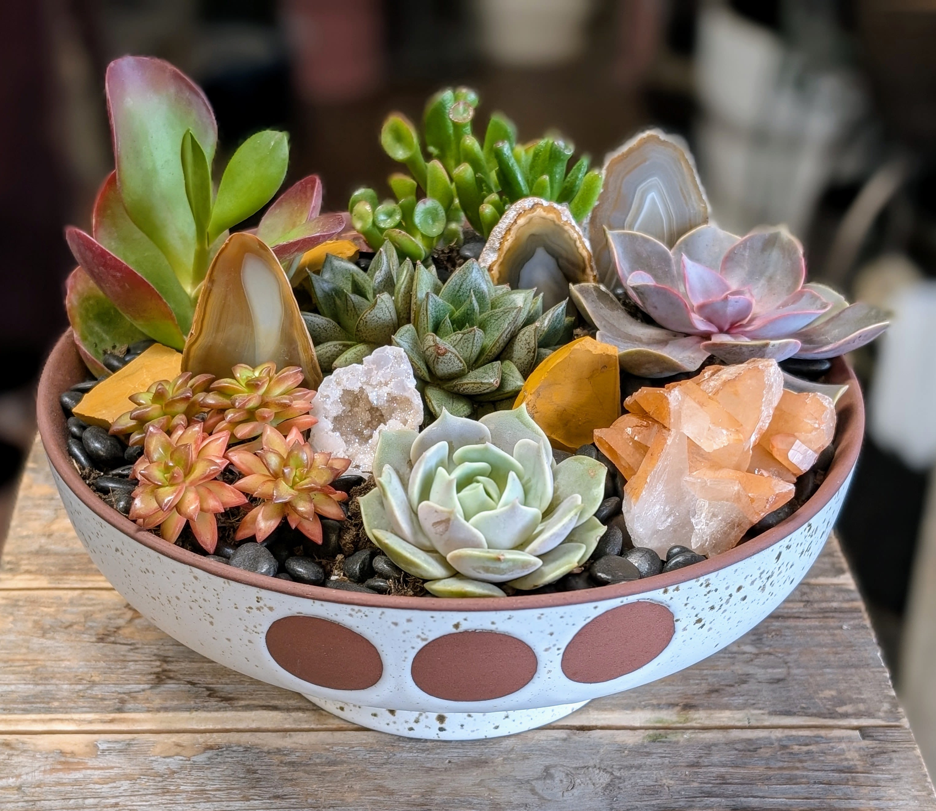 Arlo - Introducing Arlo — a soulful desert garden rooted in quiet strength and organic charm. This handcrafted succulent arrangement from Windmill Floral Expressions in Las Vegas features a curated blend of vibrant succulents, radiant crystals, a petite geode and agate slices nestled in a modern ceramic bowl. Each element—assorted succulents and shimmering quartz—tells a story of resilience and natural beauty.  Arlo is more than décor—it’s a grounded oasis of calm, perfect for gifting, desk styling, or adding an earthy-luxe touch to your home.  Available for local delivery in Las Vegas. Let Arlo bring a moment of stillness and style to your space.