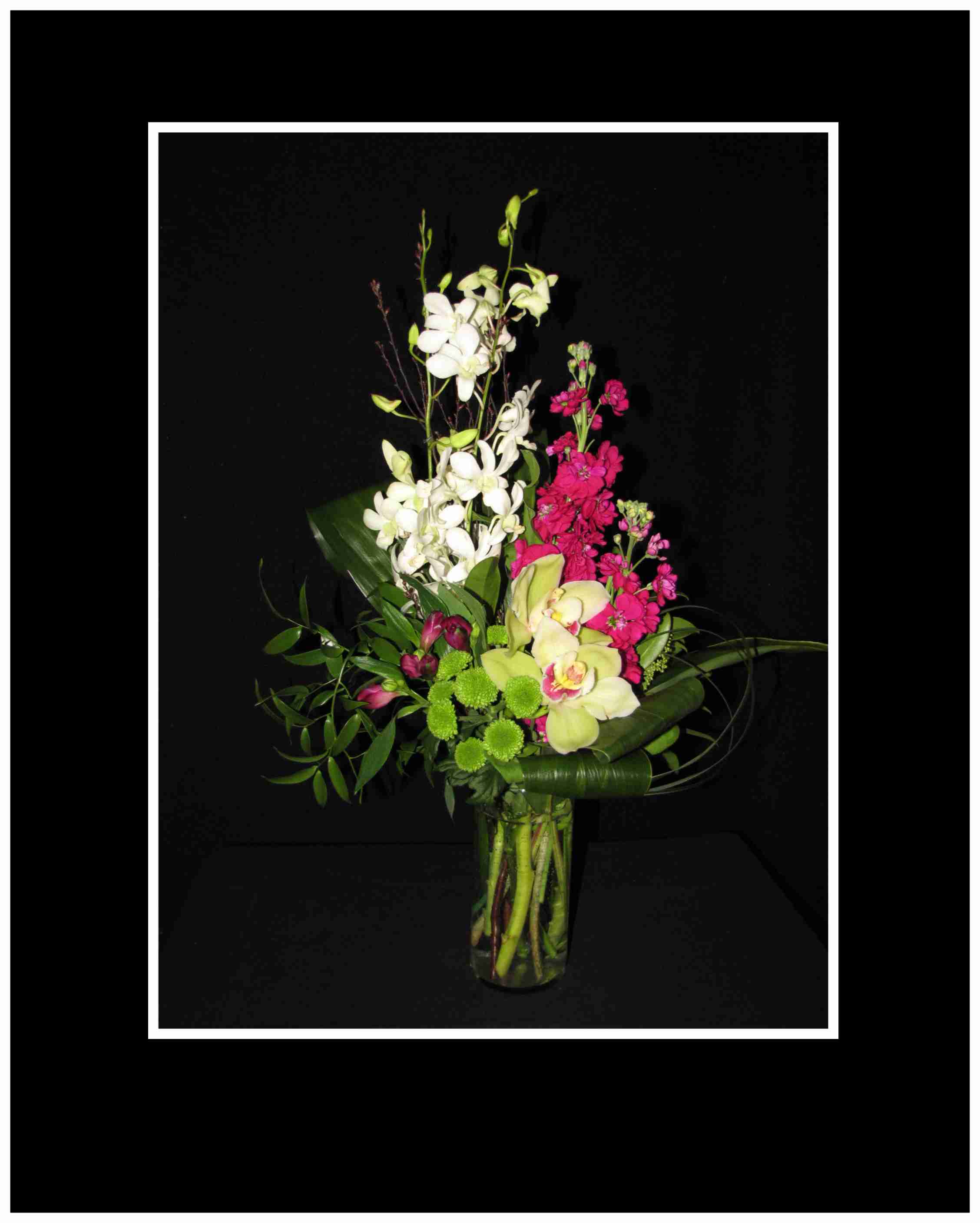 Tropics Bouquet Tropics Bouquet - Standard Cymbidium orchids, with white Dendrobium orchids, stocks and tropical foliage creates a wonderful show for your friends and loved ones. This suits many occasions.