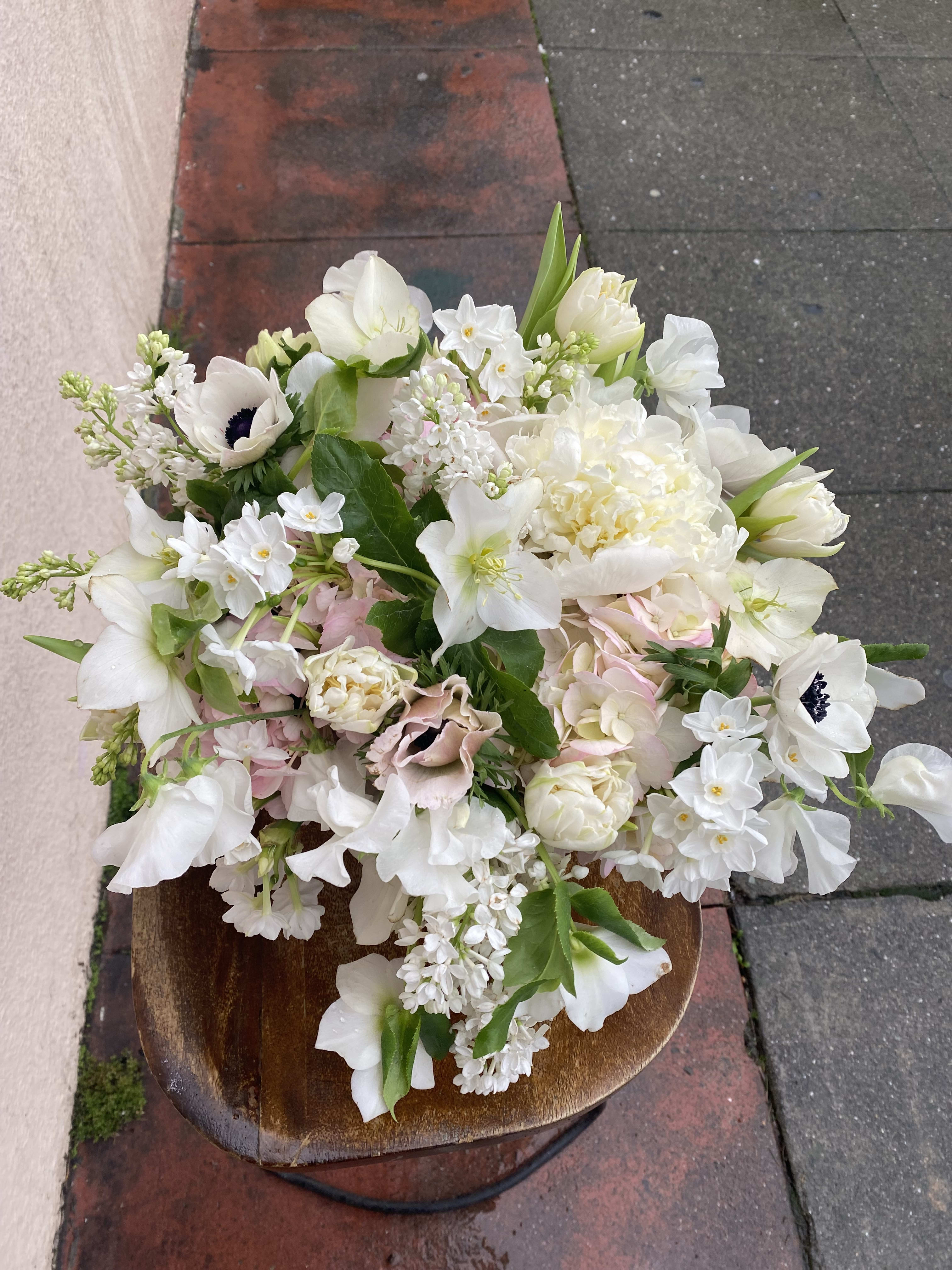 hellebore hellebore - a playful texture heavy of all beautiful spring and winter flowers