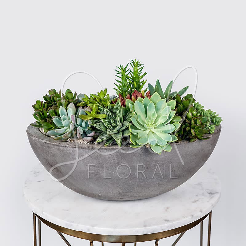 Succulent Love - This concrete boat is for the succulent lover. Zebra Succulents, Cascading Succulents, Fury Succulents and more this planter is sure to have it all!  Concrete planter:  15.7” x 8” x 6&quot; [for Standard and Deluxe] 22&quot; x 11&quot; x 8.3&quot; [Premium]