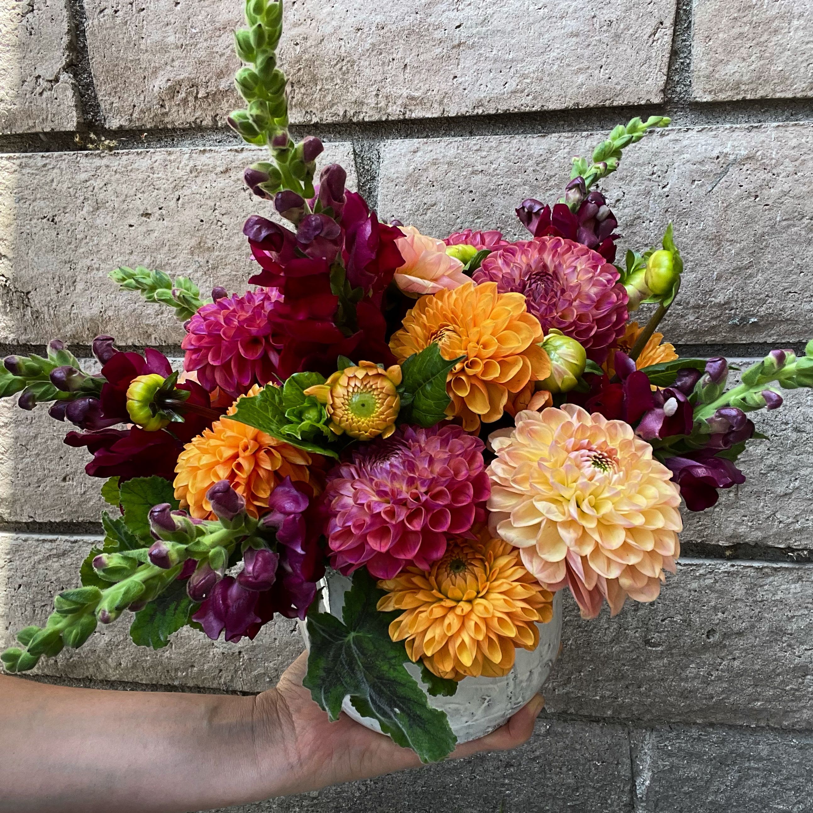 Dahlia Drama - A keepsake ceramic vase is packed with locally grown loveliness. Dahlias selected in seasonal and complimentary colors accented with long lasting coordinated Snapdragon make this gift perfect for a lover of seasonal and local Dahlias. Great fit for a small dining table or large coffee table. 