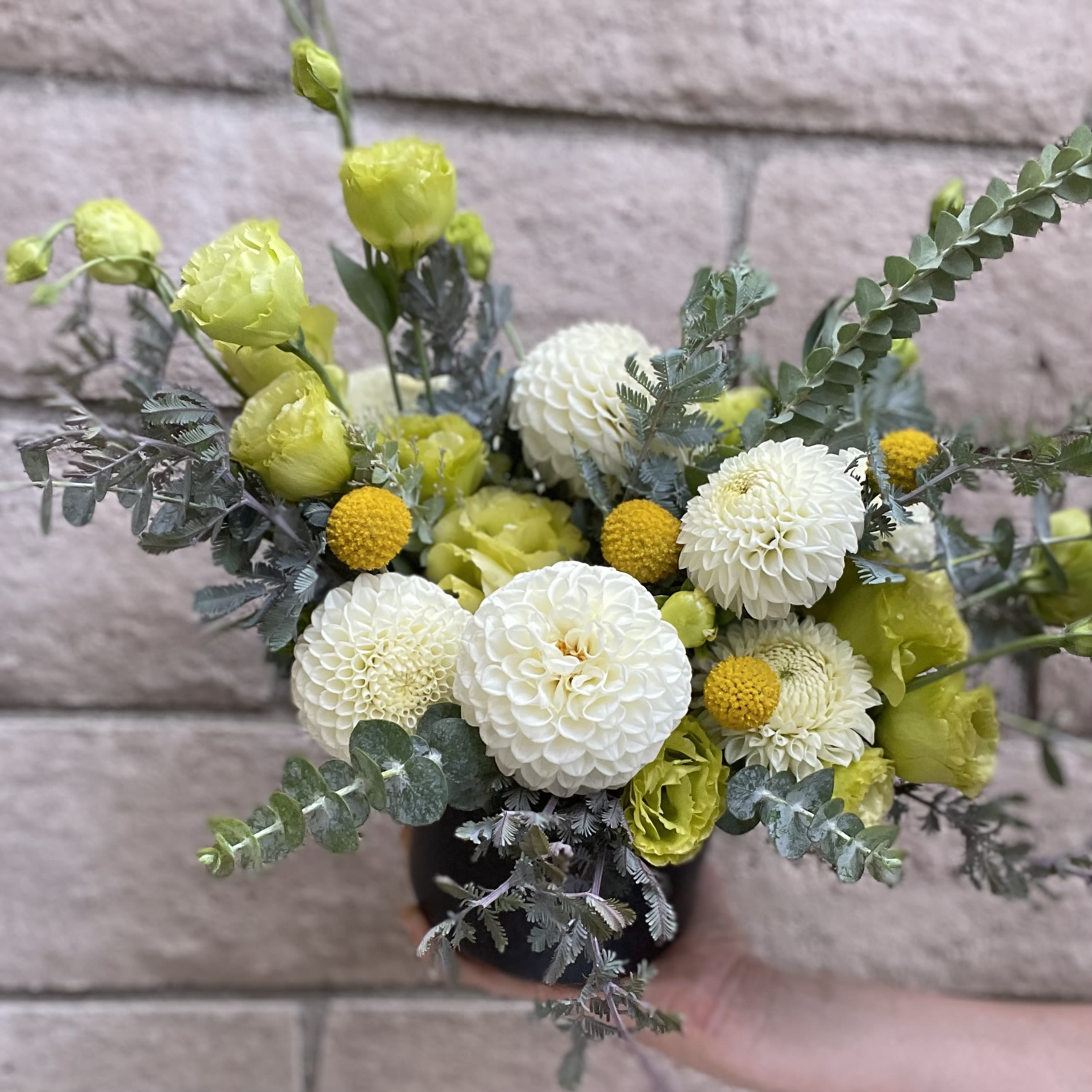 Take A Bite - Crisp, clean and cool. Perfectly bloomed white Ball Dahlia are floating and tucked in a sleek black ceramic vase of Chartreuse Lisianthus, accented with whimsical &quot;Billy Ball&quot; Craspedia and Acacia (seasonal). 