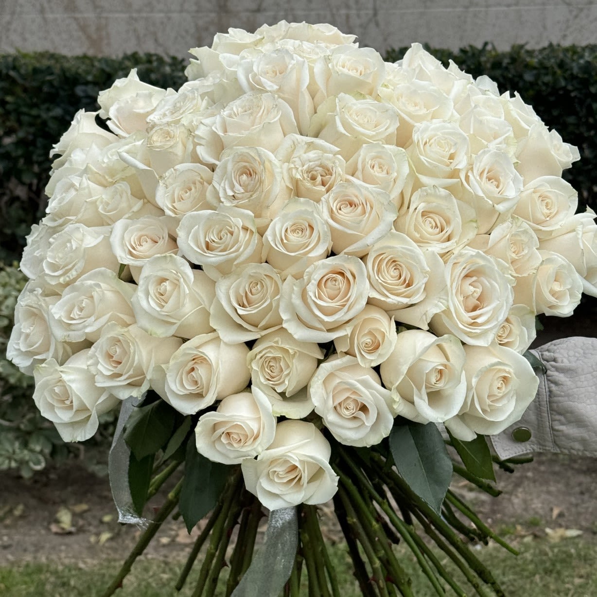 Pure Grace – 70 White Roses - Experience timeless elegance with our Pure Grace arrangement, featuring 70 pristine white roses artfully arranged to create a breathtaking display. Symbolizing purity, peace, and admiration, this luxurious bouquet is perfect for weddings, sympathy gestures, anniversaries, or milestone celebrations. Beautifully wrapped and crafted with care by Lotus Event Decor, this arrangement offers a sophisticated statement for any meaningful moment.  Available for same-day delivery across Los Angeles.