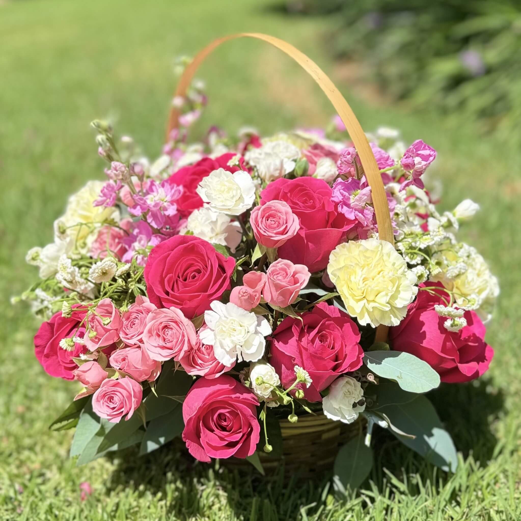Vivid Bloom in a Basket - The &quot;Vivid Bloom&quot; flower basket is a vibrant celebration of color and life. This stunning arrangement features bold roses, lively carnations, and the charming texture of stock flowers, all coming together in a joyful burst of energy. Perfect for brightening any space or occasion, &quot;Vivid Bloom&quot; brings a sense of warmth and happiness, making it an ideal gift for someone who appreciates the beauty of fresh, radiant flowers.