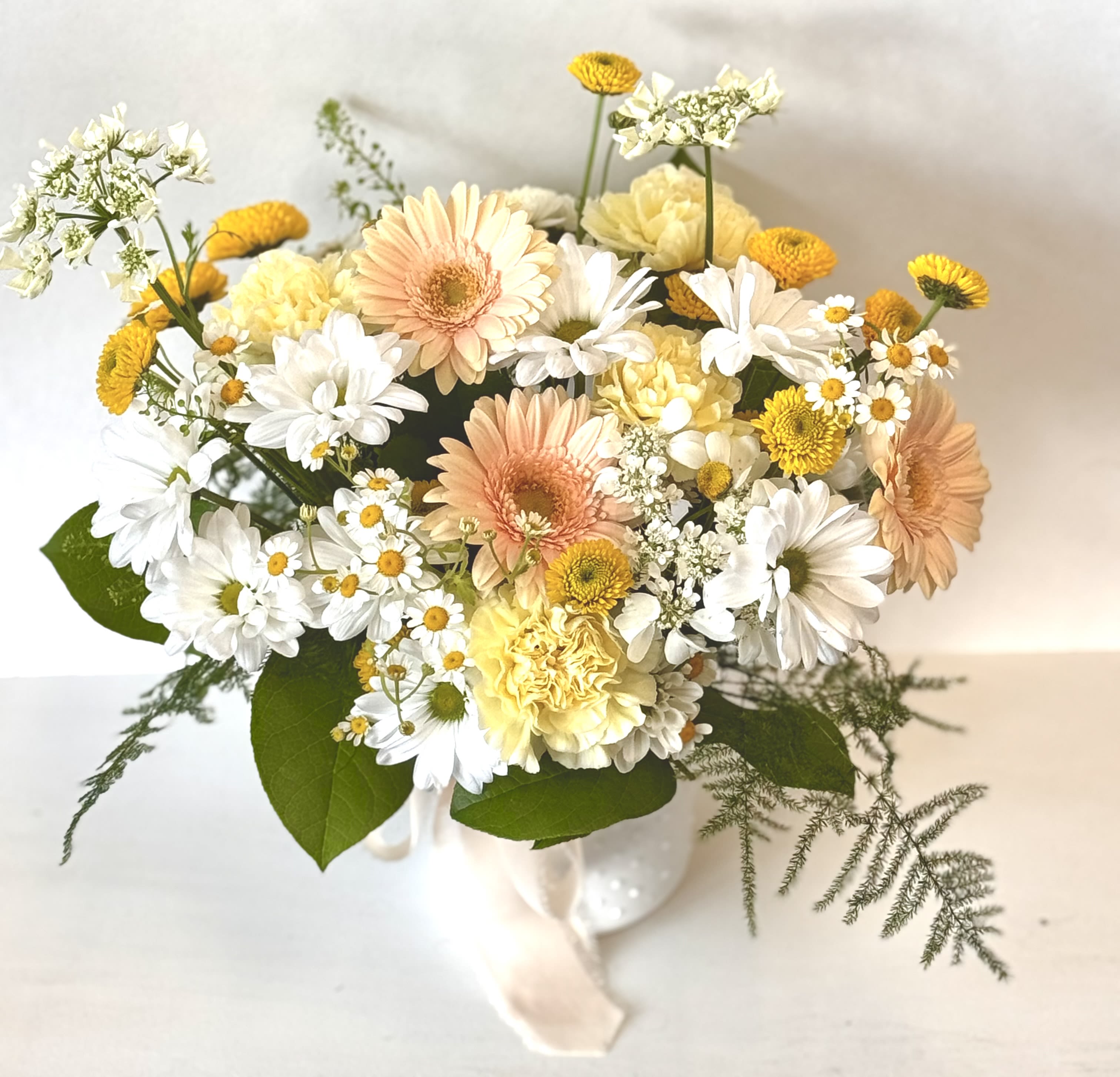 Dollop of Daisy Dollop of Daisy - Bb