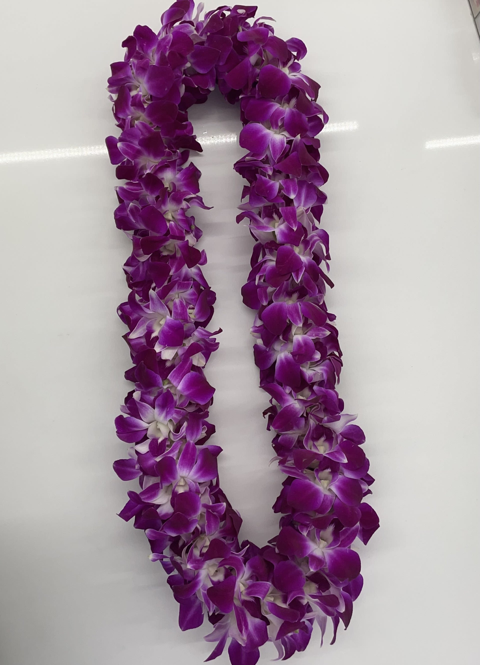 Orchid Double Leis Orchid Double Leis - Purple orchid double leis for graduation!