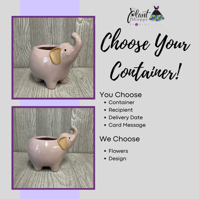 Trunkleberry - Choose your container while we will choose the flowers and design! 