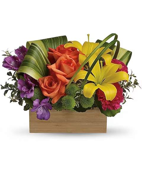 Teleflora's Shades Of Brilliance Bouquet - Send her a rainbow! Golden lilies, radiant roses and regal alstroemeria burst brilliantly from a contemporary bamboo box. What a chic, stunning way to brighten her day!  Gorgeous orange roses, yellow asiatic lilies, purple alstroemeria, hot pink carnations and green button spray chrysanthemums are arranged in a rainbow assortment with variegated aspidistra, lily grass and oregonia. Delivered in a Bamboo Rectangle vase.