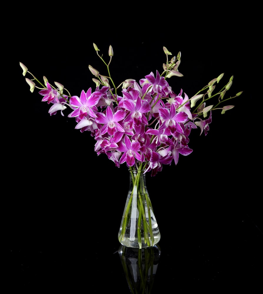 Orchid surprise Orchid surprise - This stunning Orchid surprise floral arrangement showcases the beauty and elegance of Dendrobium Orchids, expertly arranged in a vase. The delicate petals and graceful form of these exotic blooms make for a captivating display that will add a touch of sophistication to any space.