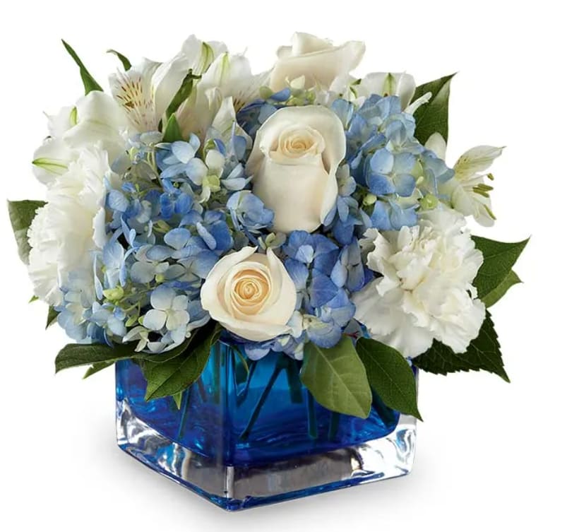 Captivating Cobalt Bouquet - This captivating arrangement is bound to delight and amaze! Fragrant white roses and striking blue hydrangea artfully arranged in a blue cube vase will surely touch their heart.  Includes: • White Carnations • White Roses • White Alstroemeria • Blue Hydrangea • Blue Cube Vase