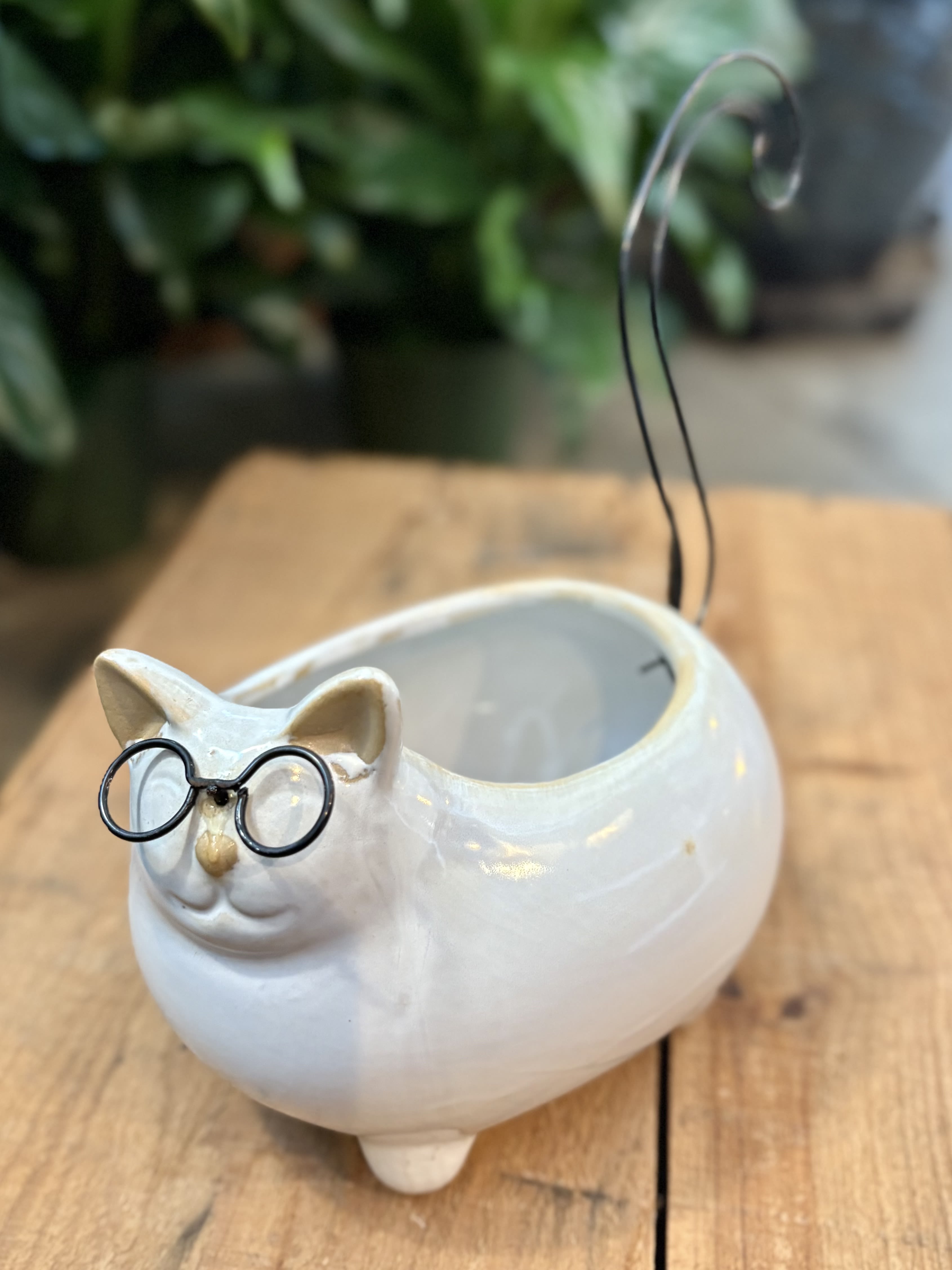 Standing Cat with Glasses Planter Standing Cat with Glasses Planter - Give your plants a scholarly air with this perky cat planter!