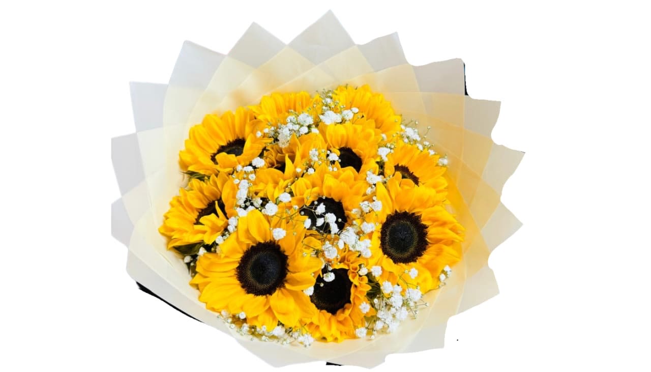 12SUNFLOWER - 12 Sunflowers  White paper. Baby Breath. (Items like paper might vary depending on supply.)