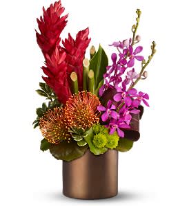 Paradise Island - Deluxe [08N605DX] - Wow! is the response you'll get when you give this breathtaking array of exotic flowers and succulents. Adding to the impact is the gleaming brown metallic cylinder vase. Double-wow someone today!  The spectacular arrangement includes ginger, pin cushion protea, green button spray chrysanthemums and purple Mokara orchids accented with red ti leaves and galax leaves - delivered in a bronze ceramic cylinder vase.  Bouquet is approximately 12&quot; X 19&quot; H  Orientation: One-Sided      As Shown : 08N605DX  