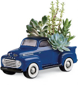 His Favorite Ford F1 Pickup [T16F110A] - This Father's Day, get Dad's motor running with this collectible gift! In the perfect shade of blue, this charming ceramic pickup truck presents an array of living succulent plants. What a beautiful, fun-filled display for dad's desk or bedroom!  This living arrangement includes a variety of succulent plants. Delivered in a '48 Ford Pickup collectible keepsake.  Approximately 10 1/4&quot; W x 10 1/2&quot; H  Orientation: All-Around      As Shown : T16F110A 